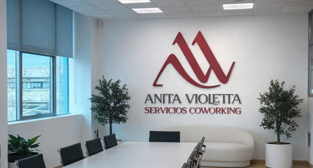 Banner Anita Violeta Servicios Coworking